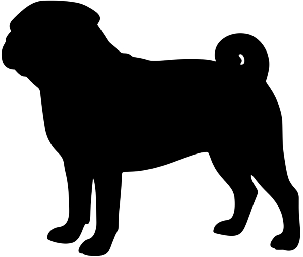 Mops stehend Silhouette