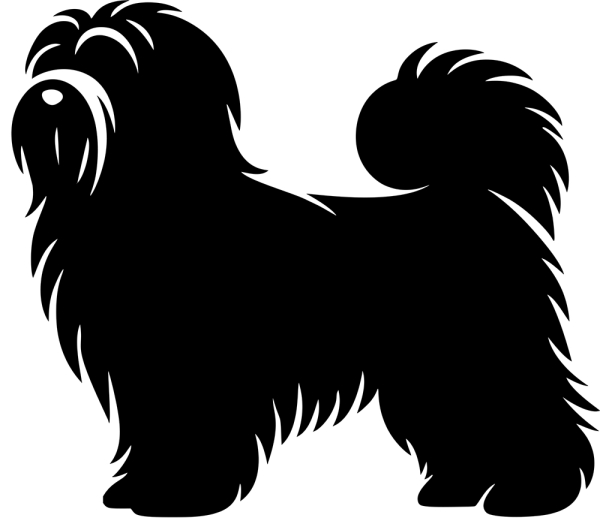 Tibet Terrier stehend Silhouette