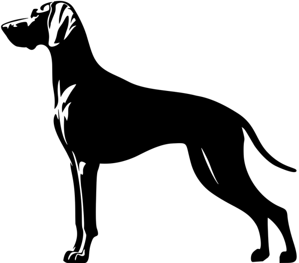 Aufkleber Weimaraner