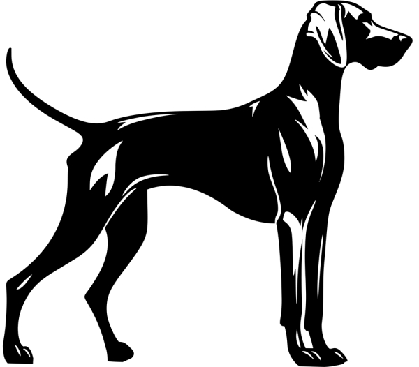 Aufkleber Weimaraner