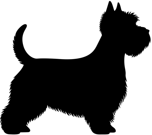 West Highland White Terrier stehend Silhouette