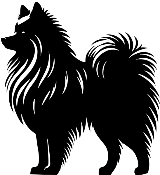 Wolfsspitz stehend Silhouette