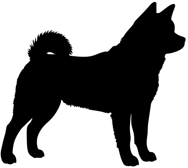 Akita stehend Silhouette