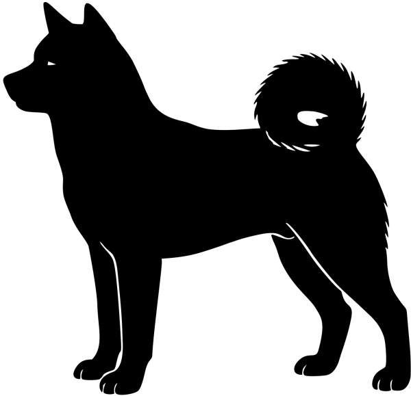 Akita stehend Silhouette