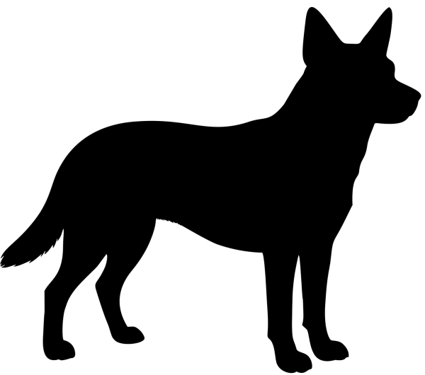 Australian Cattle Dog Aufkleber