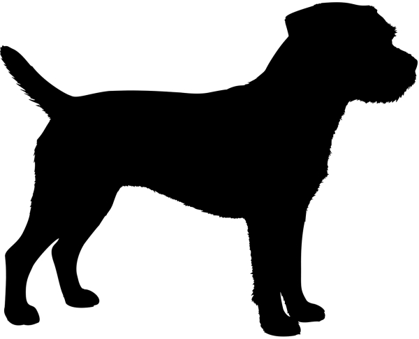 Border Terrier stehend Silhouette