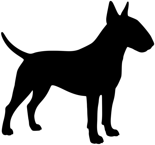 Bullterrier stehend Silhouette