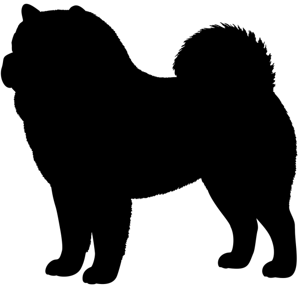 Chow Chow stehend Silhouette