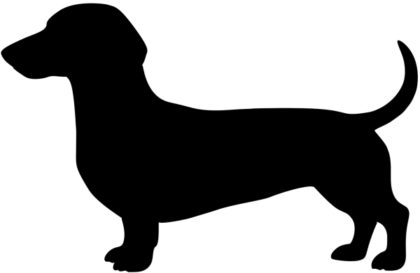 Kurzhaarteckel stehend Silhouette