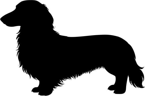 Langhaardackel stehend Silhouette