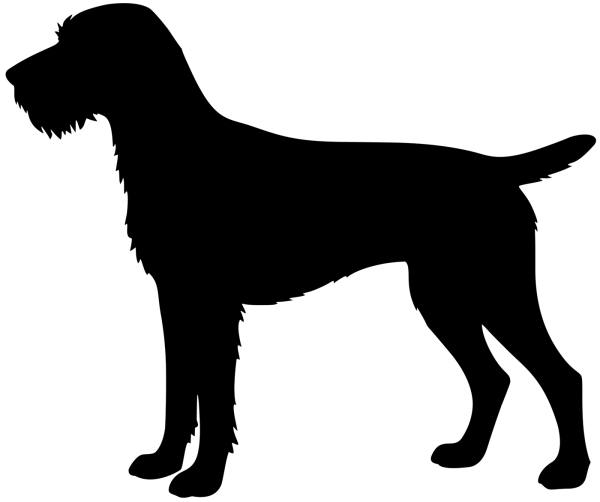 Deutsch Drahthaar stehend Silhouette