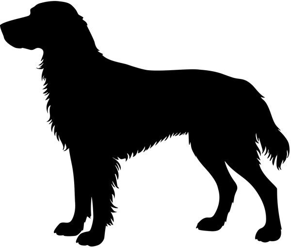 Aufkleber Deutsch Langhaar