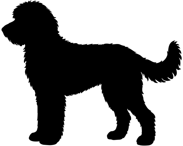 Golden Doodle Silhouette