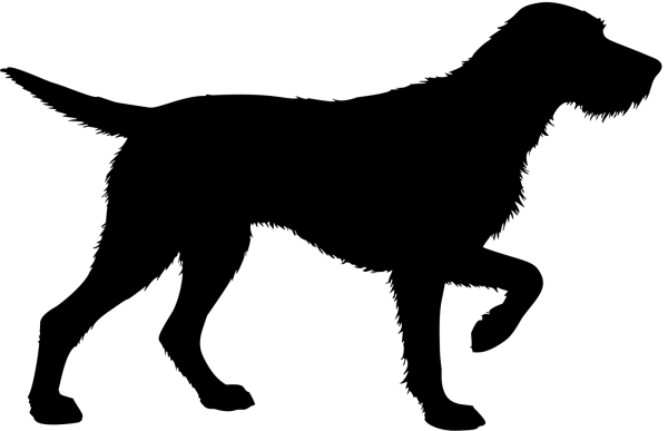 Magyar Viszla stehend Silhouette