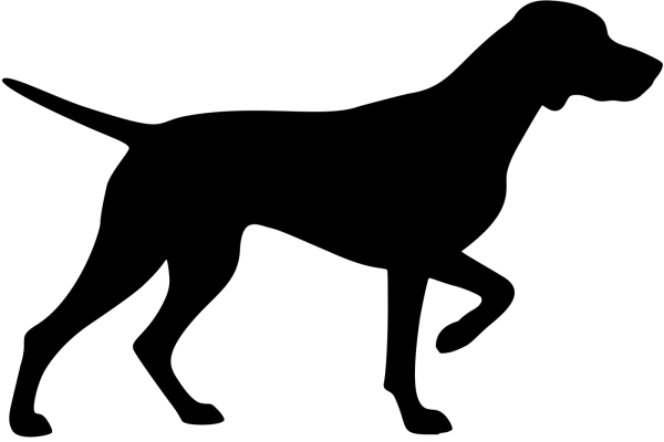 Magyar Viszla stehend Silhouette