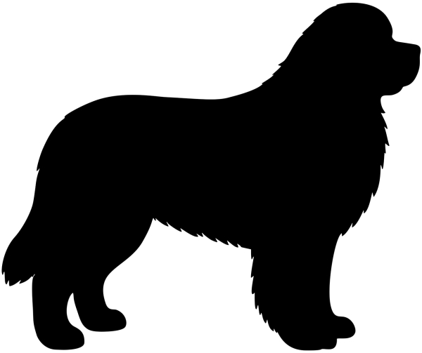 Neufundländer stehend Silhouette