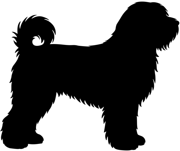 Tibet Terrier stehend Silhouette