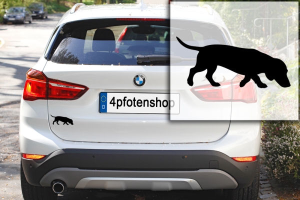 Autoaufkleber Dackel (Kurzhaarteckel) suchend Silhouette