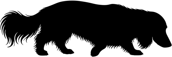 Langhaardackel stehend Silhouette