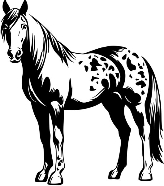 Aufkleber Appaloosa