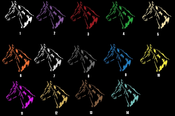 Aufkleber Pferd - Araber Kopf