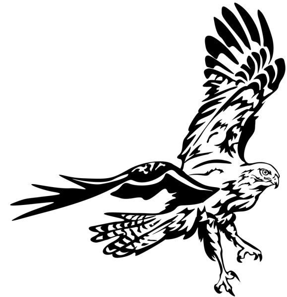 Aufkleber Bussard