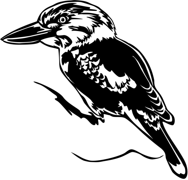 Aufkleber Kookaburra