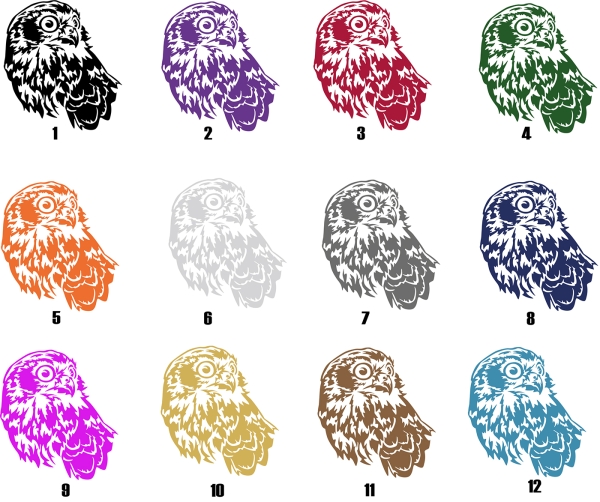 Aufkleber Kauz - Kläfferkauz (Barking Owl) Kopf *für helle Hintergründe