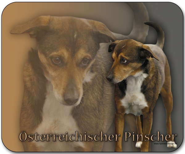 Mousepad Österreichischer Pinscher