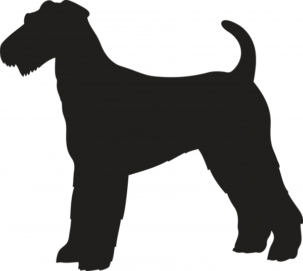 Airedale Terrier stehend Silhouette