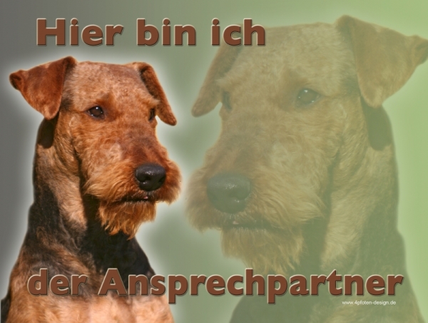 Aluminiumschild Airedale Terrier