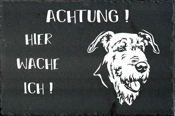 Schieferplatte Airedale Terrier