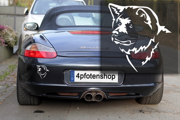 Autoaufkleber "Akita" Kopf