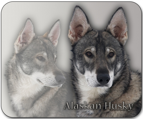 Mousepad Alaskan Husky