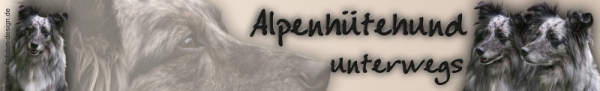 Autoaufkleber Alpenhütehund