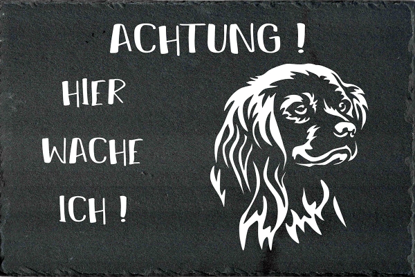 Schieferplatte American Cocker Spaniel