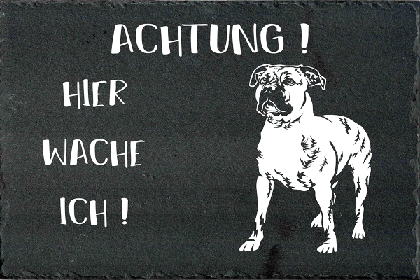 Schieferplatte American Staffordshire Terrier