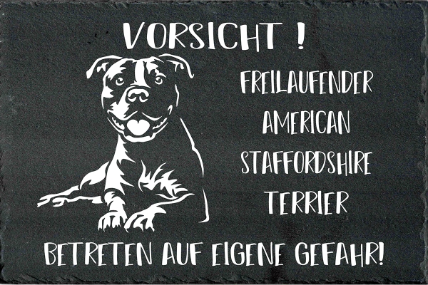 Schieferplatte American Staffordshire Terrier