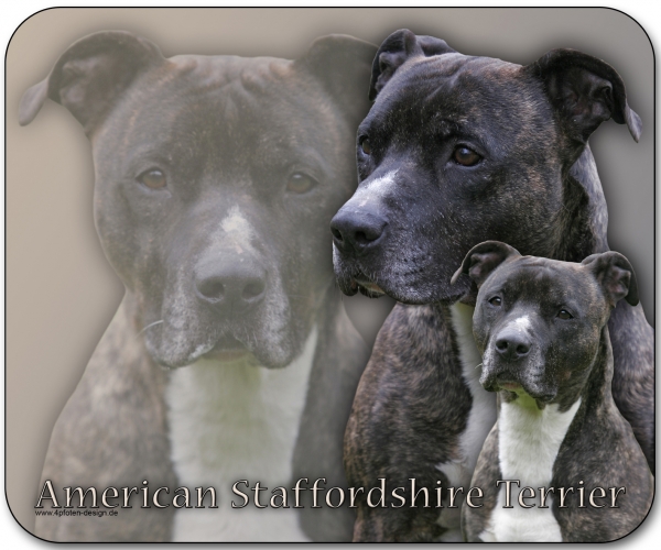 Mousepad American Staffordshire Terrier