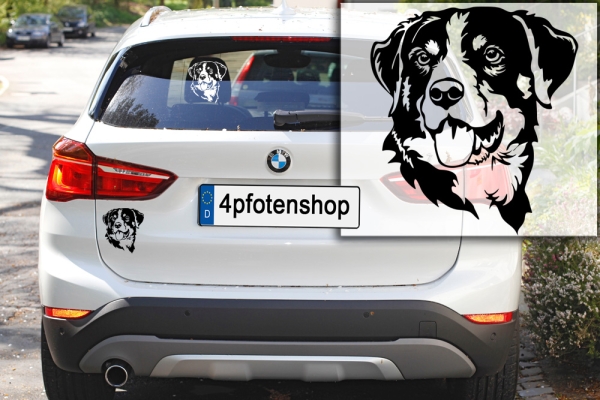 Autoaufkleber "Appenzeller Sennenhund" Kopf