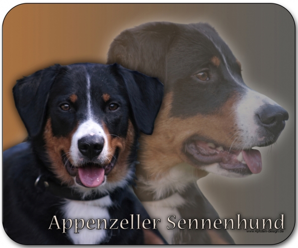 Mousepad Appenzeller Sennenhund