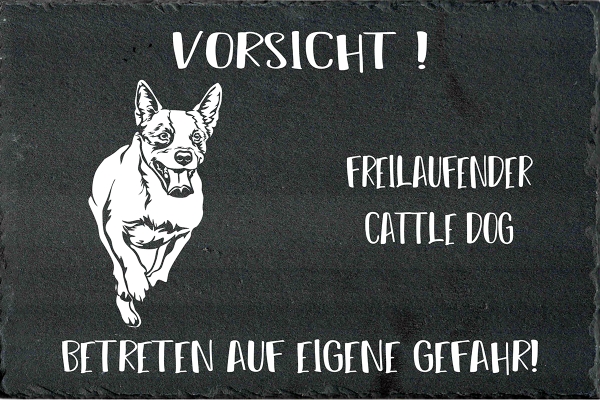 Schieferplatte Australian Cattle Dog