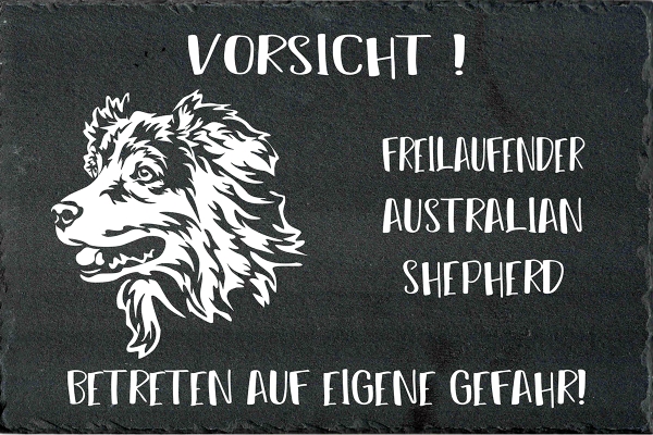 Schieferplatte Australian Shepherd