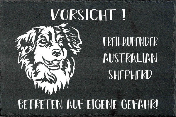 Schieferplatte Australian Shepherd