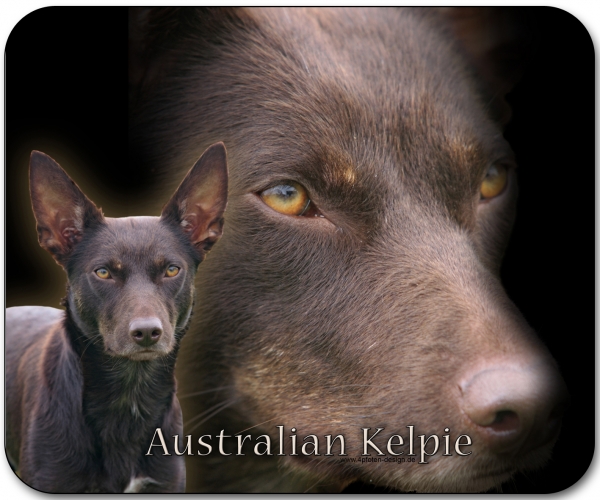 Mousepad Australian Kelpie