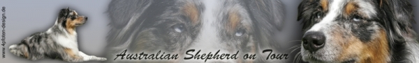 Autoaufkleber Australian Shepherd