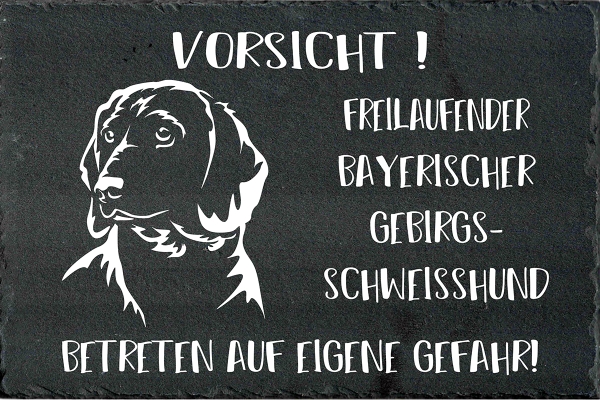 Schieferplatte Bayerischer Gebirgsschweißhund