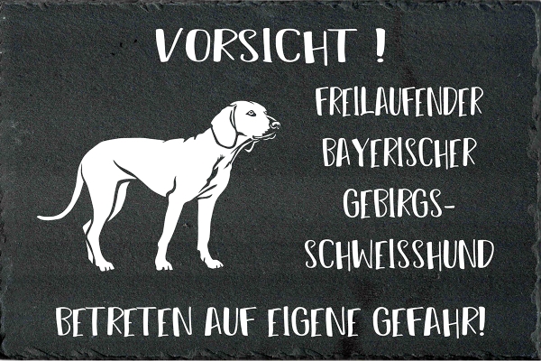 Schieferplatte Bayerischer Gebirgsschweißhund