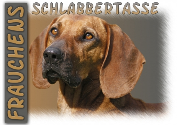 Fototasse Bayerischer Gebirgsschweißhund