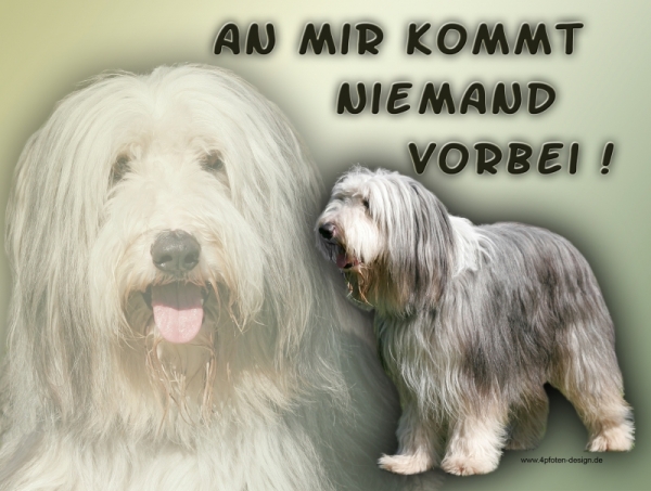 Aluminiumschild Bearded Collie Motiv0001